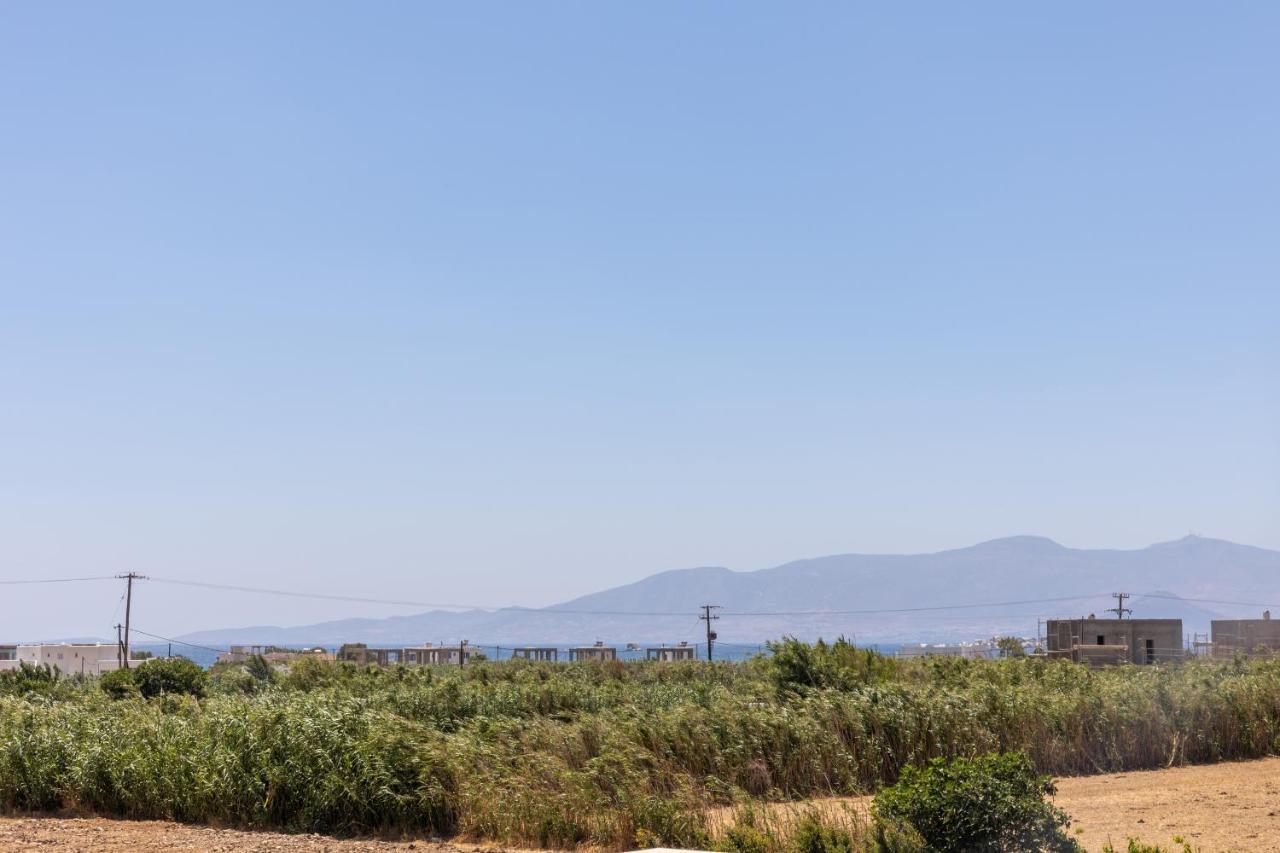 Depis Edem Luxury Villas Naxos Plaka  Exterior photo